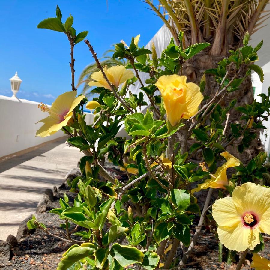 Apartamento La Concha Seaview Direct At The Beach & Sea Cotillo エクステリア 写真